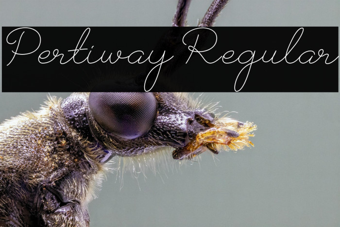 Pertiway Regular Example 2