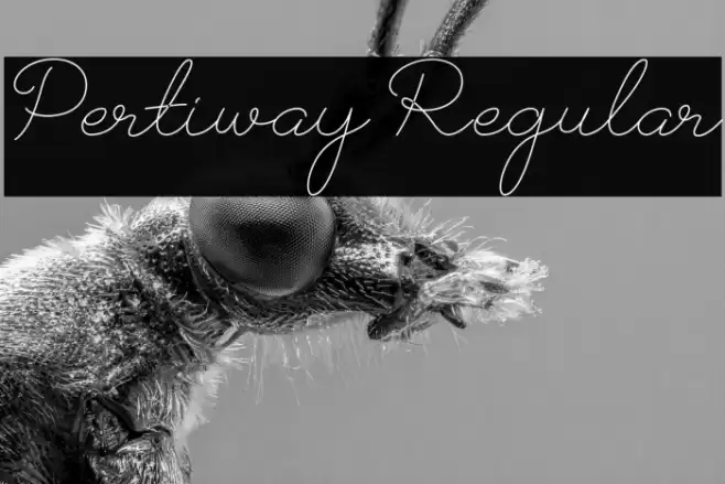 Pertiway Regular Schriftart examples