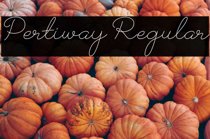 Pertiway Regular Example 3