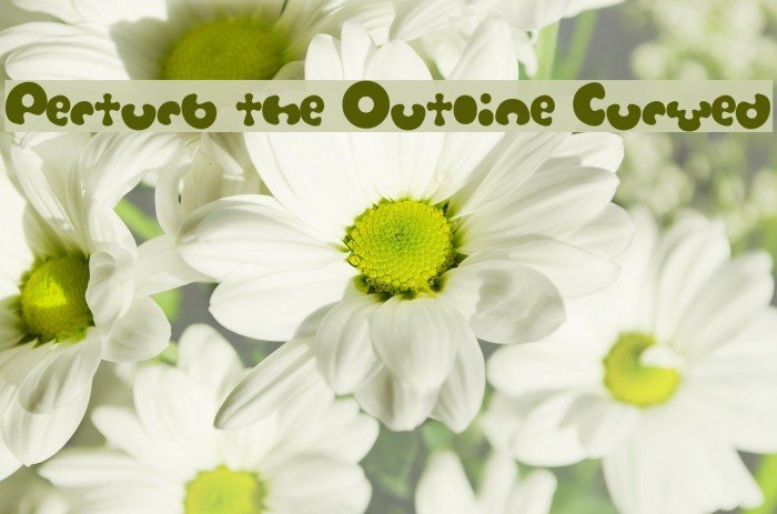 Perturb the Outline Curved Example 1