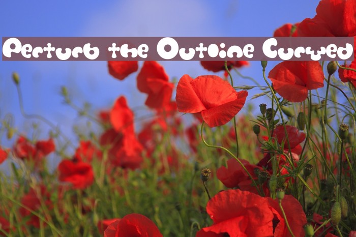 Perturb the Outline Curved Example 3