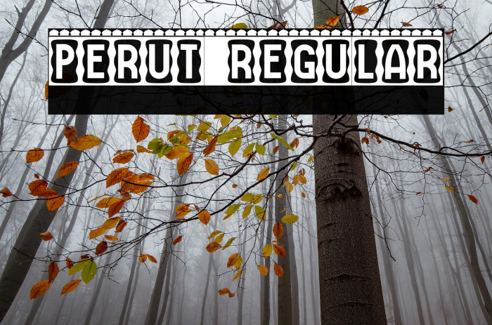 Perut Regular Example 2