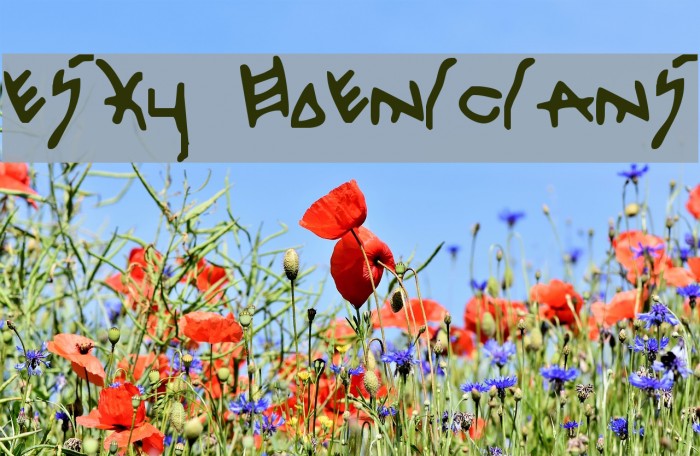 Pesky Phoenicians Example 2