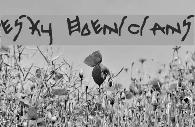 Pesky Phoenicians Font examples