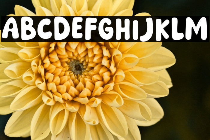 Pesta Rakyat Example 1