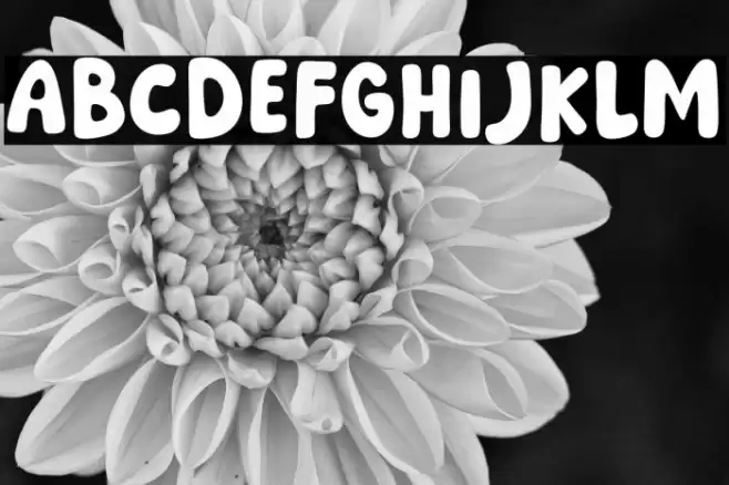 Pesta Rakyat Caratteri examples