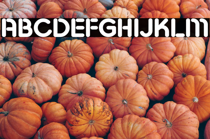 Pesta Stencil Demo Bold Example 3