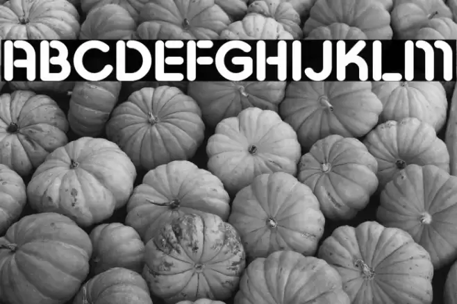 Pesta Stencil Demo Bold Font examples