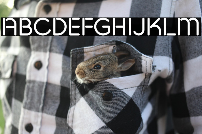 Pesta Stencil Demo Example 2