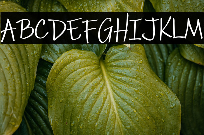 Pestra Demo Example 1