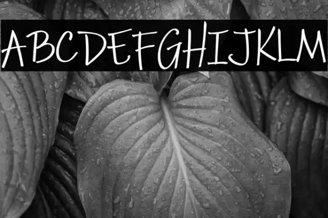 Pestra Demo Font examples