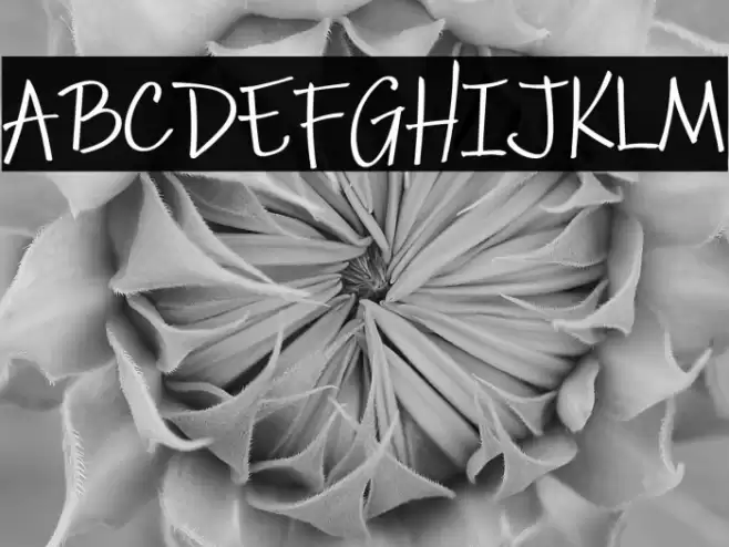 Pestra Demo Font examples