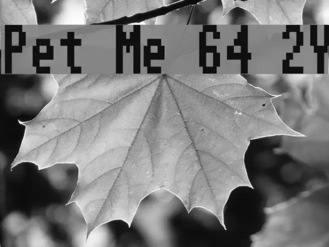 Pet Me 64 2Y Font examples