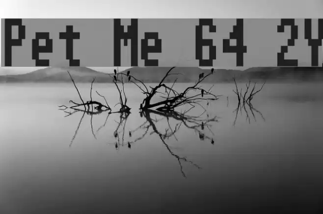 Pet Me 64 2Y Font examples