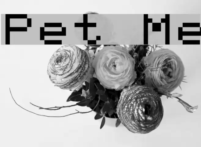 Pet Me Font examples