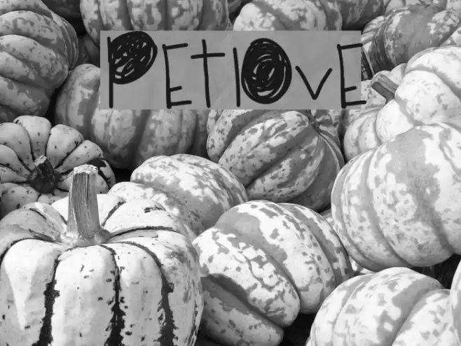 PetLove Font examples