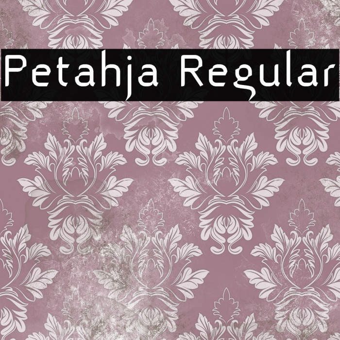 Petahja Regular Example 1
