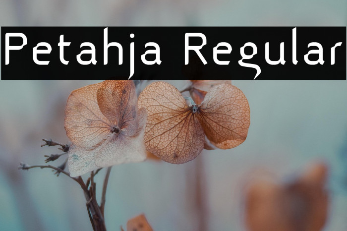 Petahja Regular Example 2