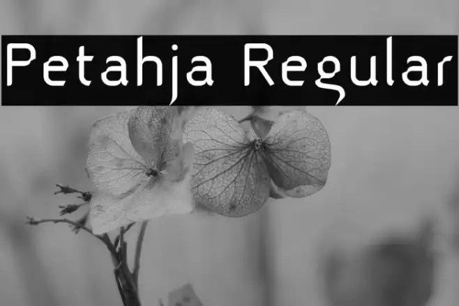 Petahja Regular Font examples