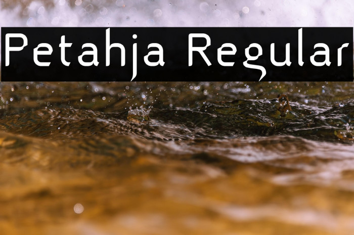 Petahja Regular Example 3