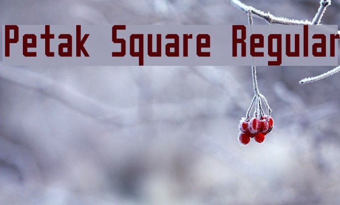Petak Square Regular Font examples