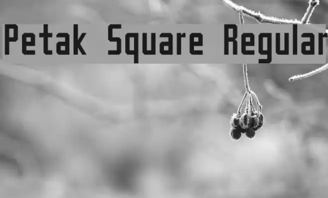 Petak Square Regular 字体 examples