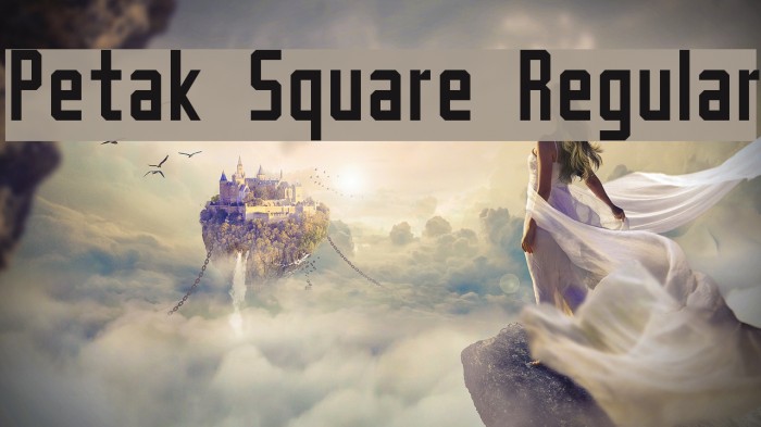Petak Square Regular Font examples