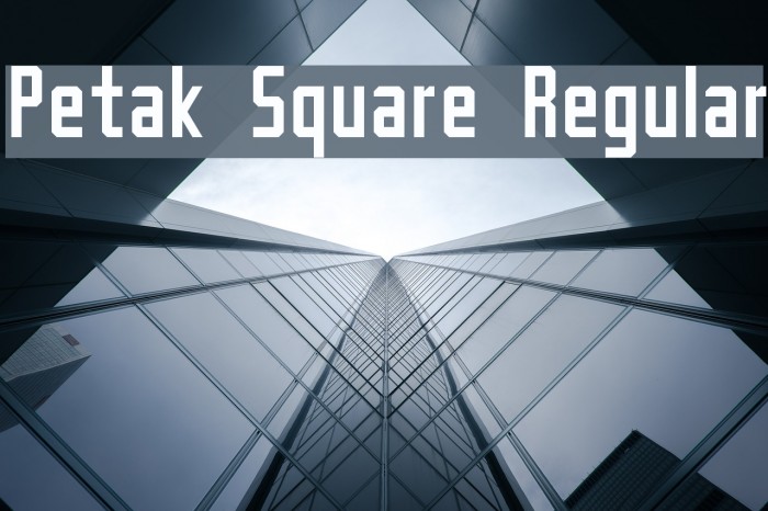 Petak Square Regular Font examples