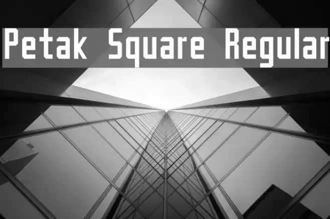 Petak Square Regular 字体 examples