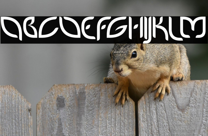 PetalGlyph Example 1