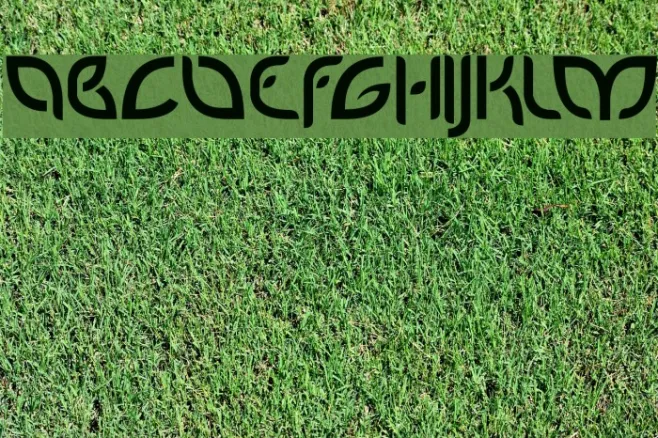 PetalGlyph Example 2