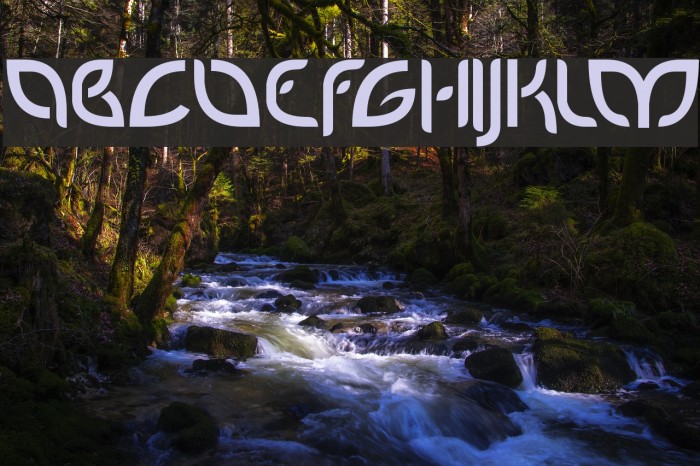 PetalGlyph Font examples