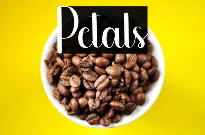 Petals Example 2