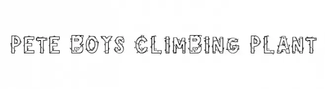 Pete Boys Climbing Plant  font caratteri gratis