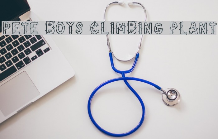 Pete Boys Climbing Plant Font examples