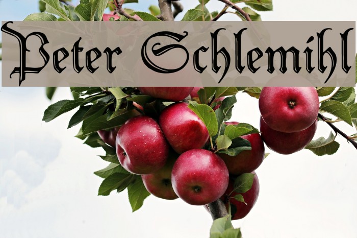 Peter Schlemihl Font examples