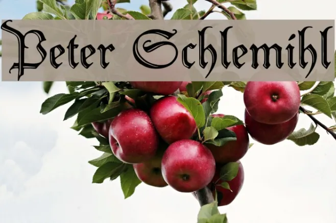Peter Schlemihl Example 2
