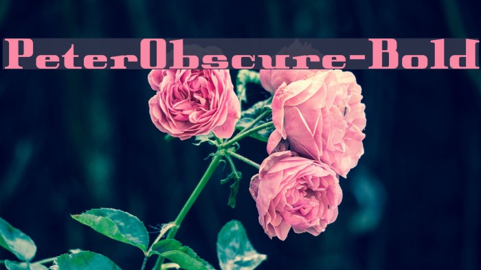 PeterObscure-Bold Font examples