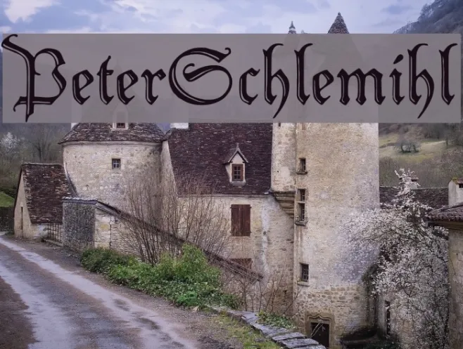 PeterSchlemihl Example 1