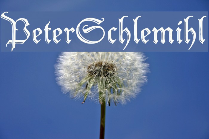PeterSchlemihl Font examples
