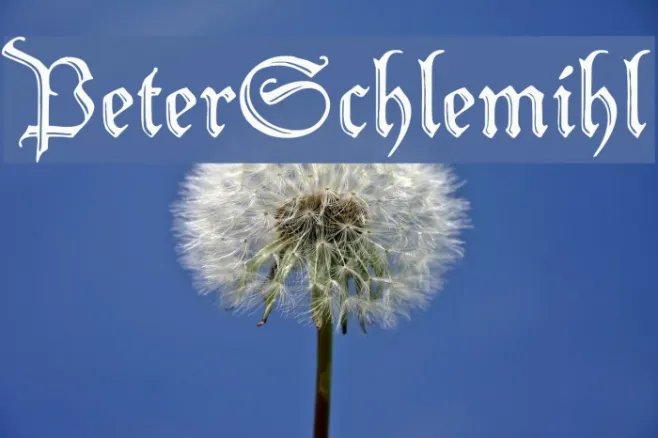 PeterSchlemihl Example 2
