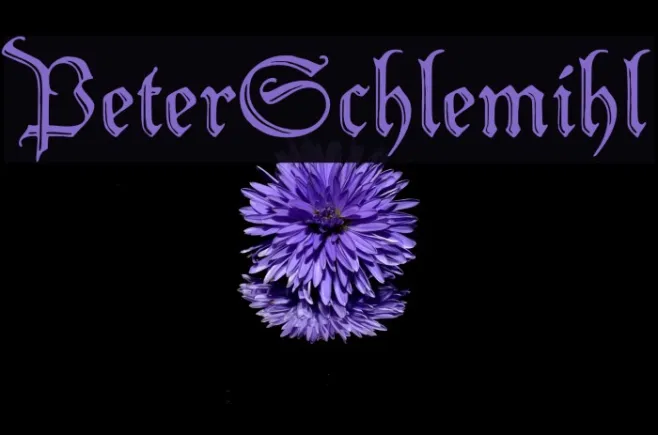 PeterSchlemihl Example 3
