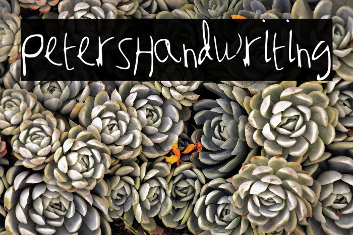 Peter_s_Handwriting Example 3