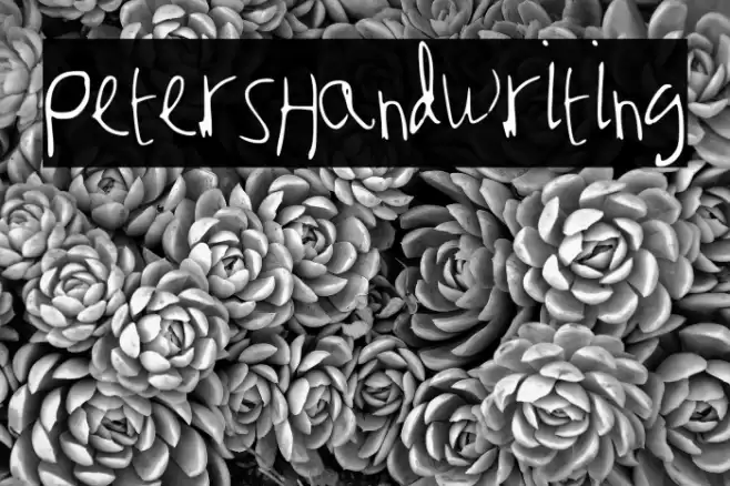 Peter_s_Handwriting Font examples