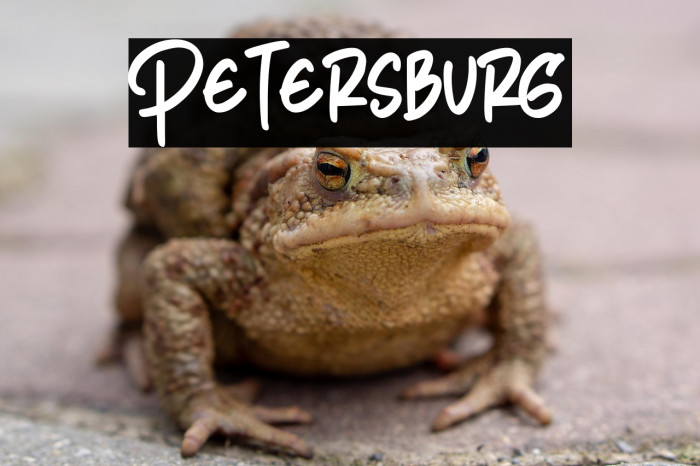 Petersburg Example 3