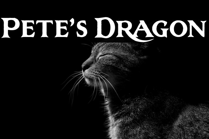 Pete's Dragon Example 2