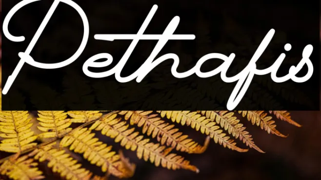 Pethafis Example 1