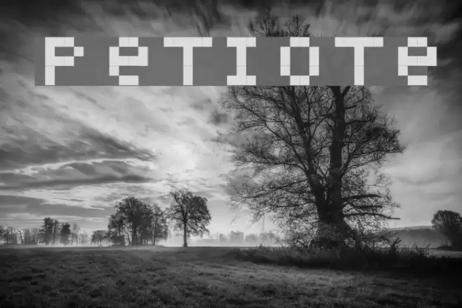 Petiote Font examples