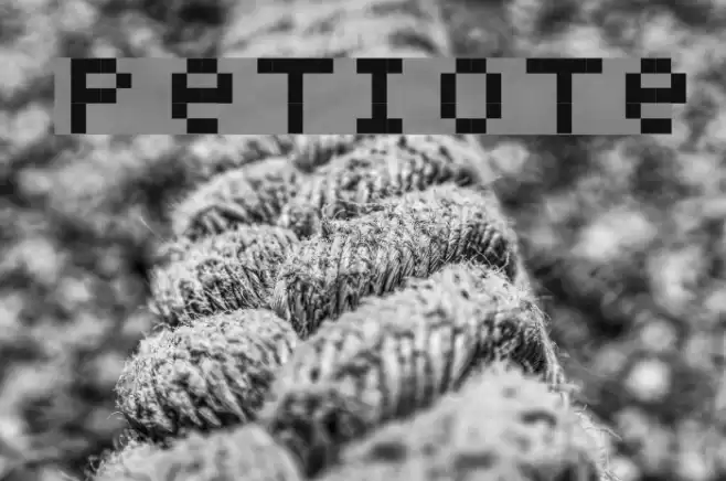 Petiote Font examples