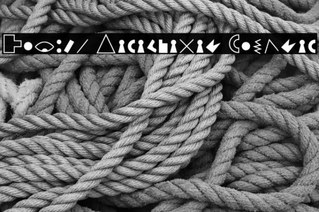 Petiso Carambanal Regular Polices examples